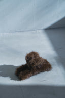 ファーボリューム ヘアクリップ